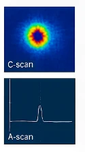 C-scan / A-scan 신호 예시