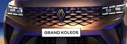 라디에이터 그릴 적용 예시